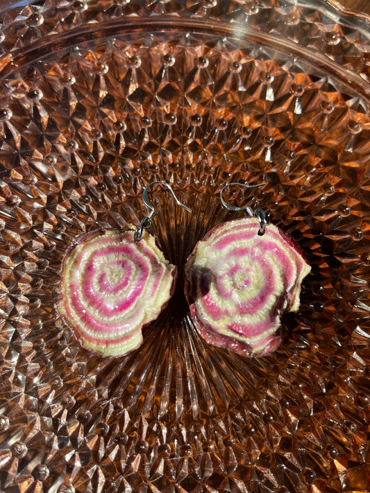 Real Chioggia Beet Earrings